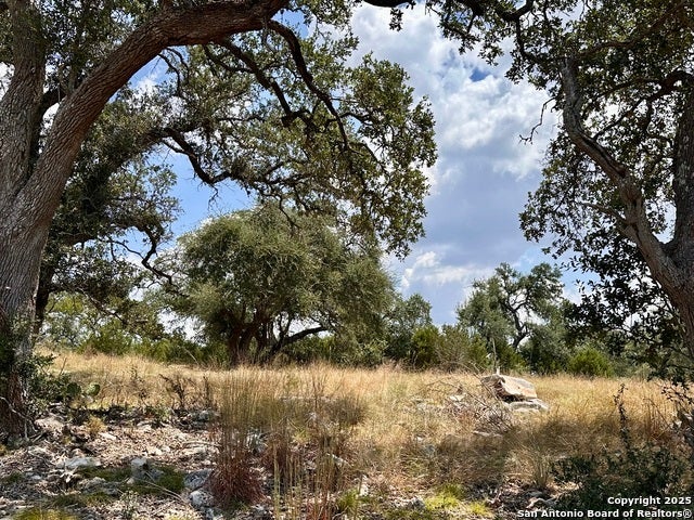 1426 Trailhead, New Braunfels