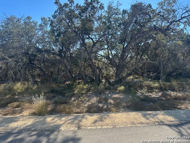 935 Serene Park, Spring Branch