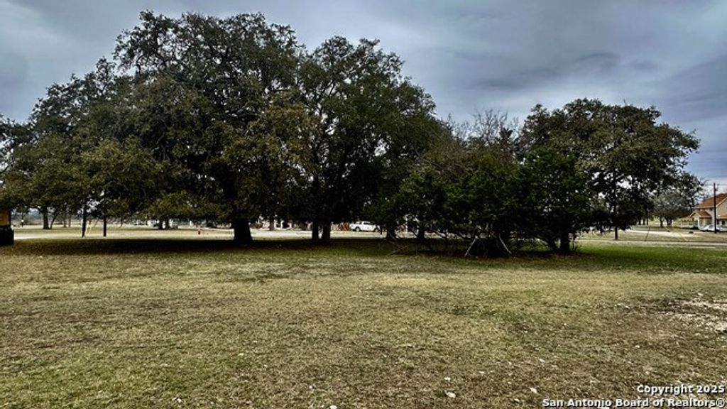 000 Tawny Oak, Bandera