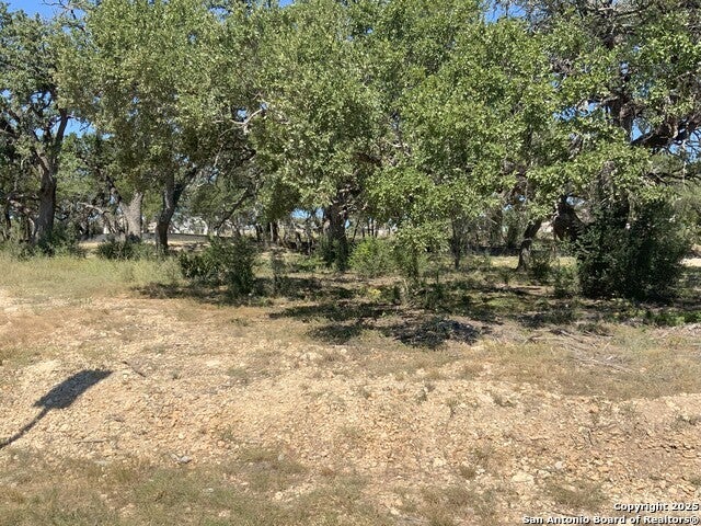 24610 Cliff Line, San Antonio