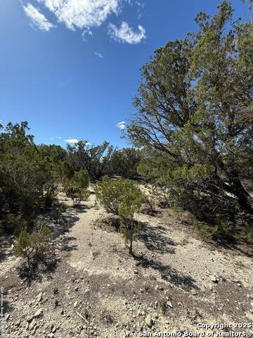 264 Cedar Hill Dr, Bandera