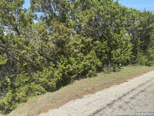 397 Cedar Dr, Canyon Lake