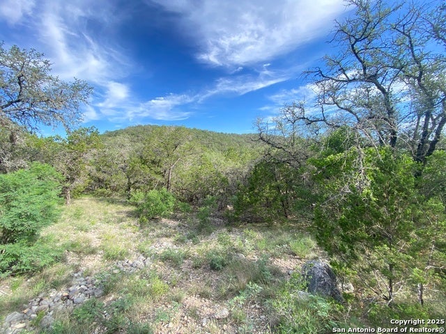 430 Frio Canyon Loop, ConCan
