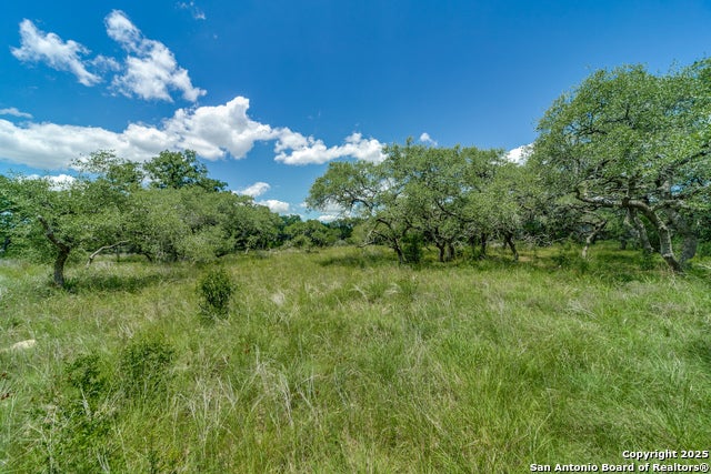 34761 Carries Creek, Bulverde