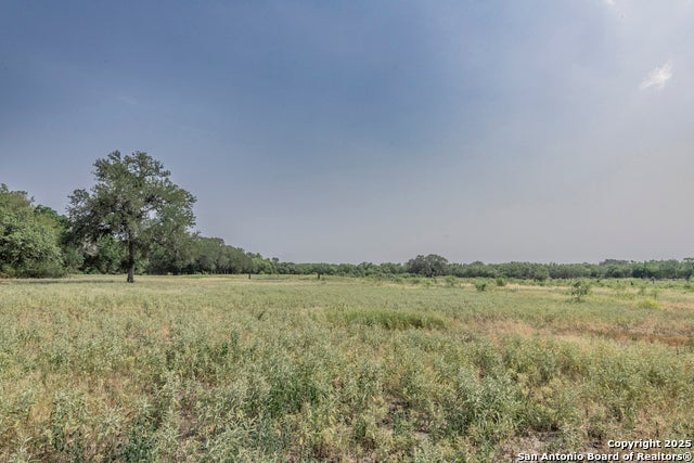 1379 County Road 772, Natalia