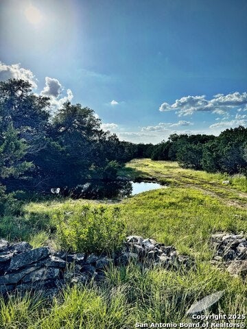 1 Bergwald, Bulverde