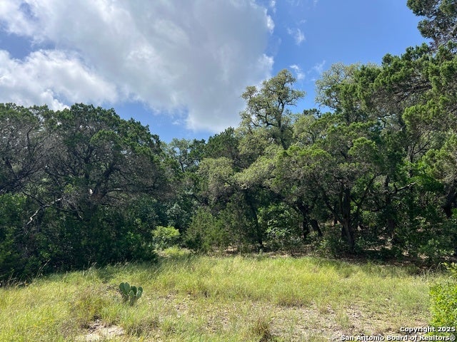 19031 Bandera Rd, Helotes