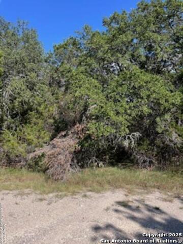 35 Meadow Oak, Wimberley