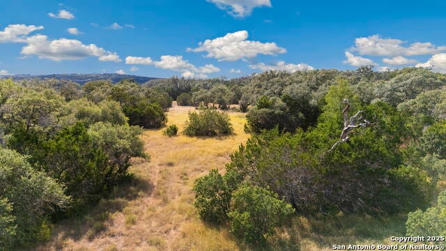 1732 Herbelin, New Braunfels