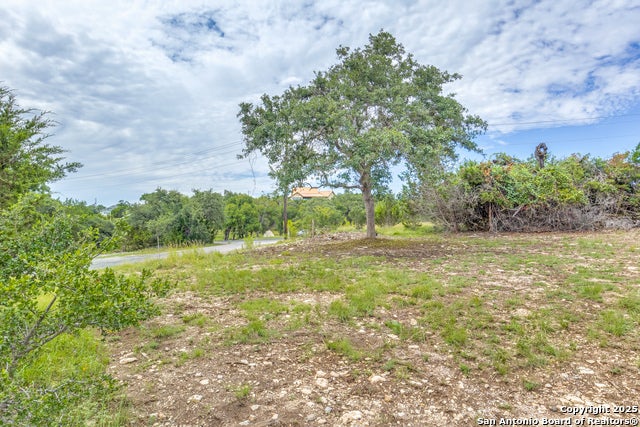 106 Albert Horton, Blanco