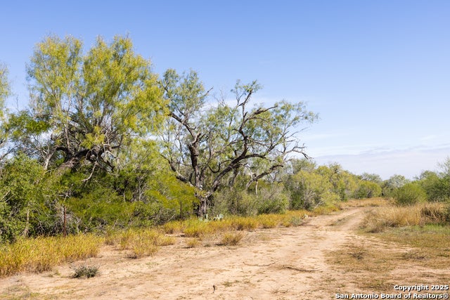 10 Fm 1581, Pearsall