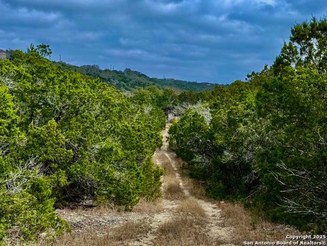 9852 Marnoch Rd, Helotes