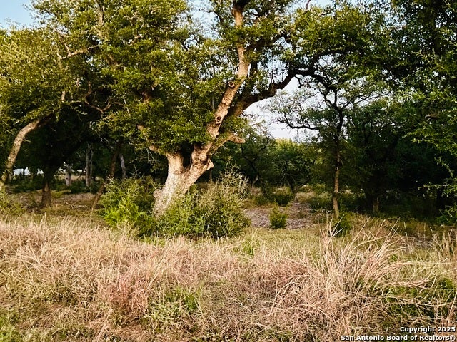 1025 Earle Oak, Bulverde