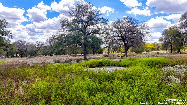 141 Oak Hill, La Vernia