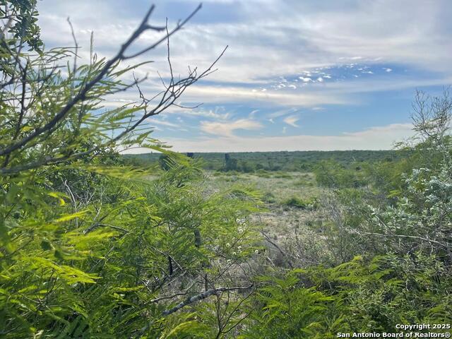 197 Live Oak Spur, George West