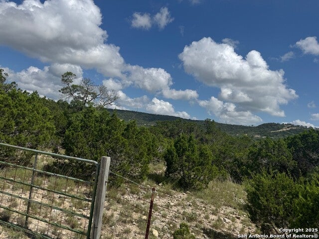 2652 Dead Poacher, Bandera