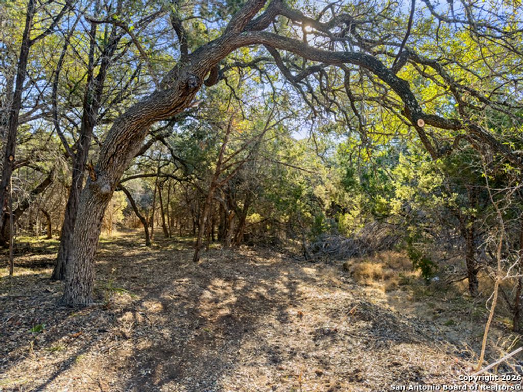 2095 Desiree Street, Canyon Lake