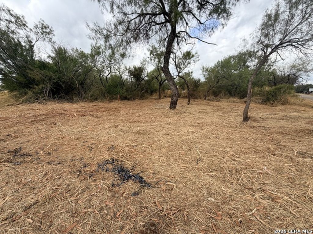 220 County Road 4402, Dilley