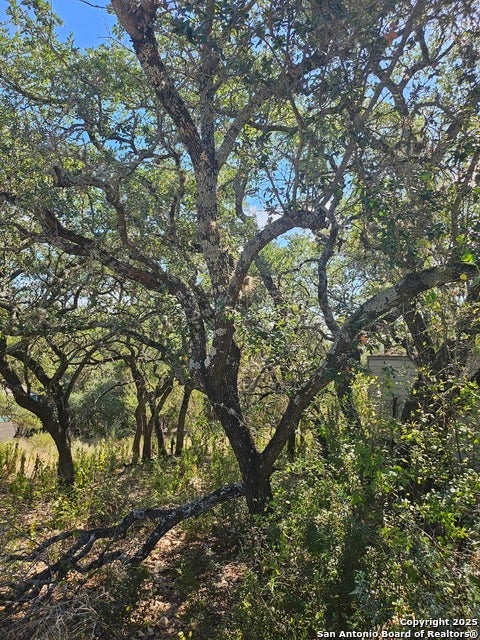 1437 Trailridge Dr, Canyon Lake