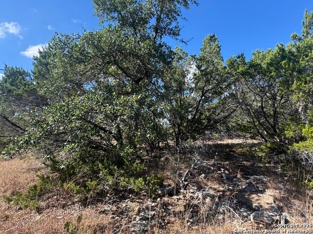 217 Breeze Pt, Fischer