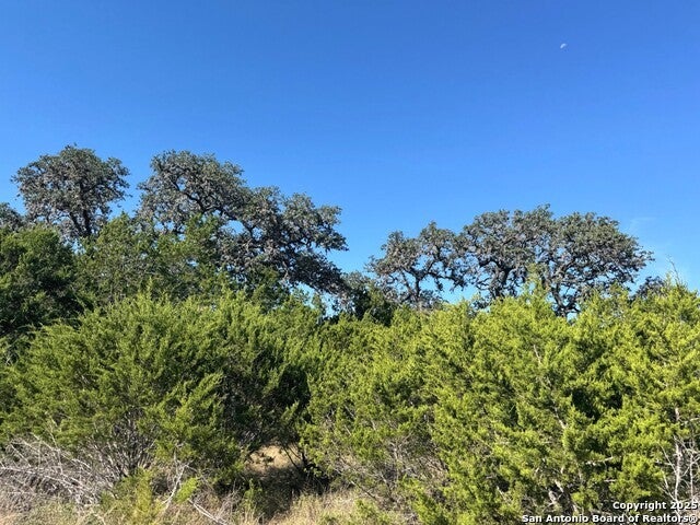 Tbd Fm 2828, Bandera