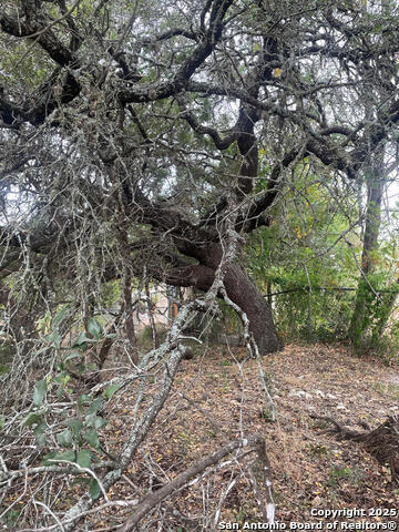 749 & 743 Canyon Circle, Canyon Lake