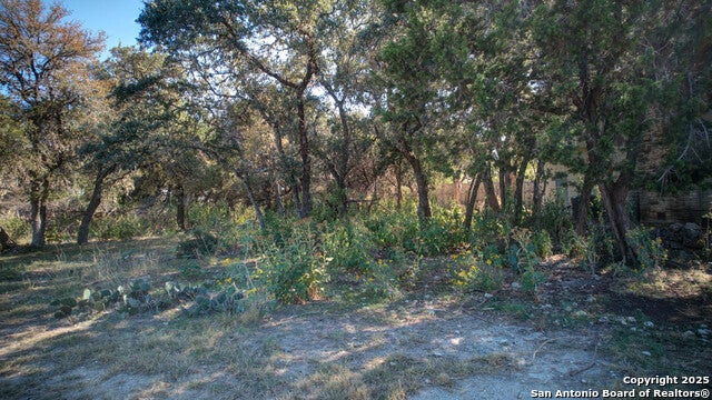 1042 Janet, Canyon Lake