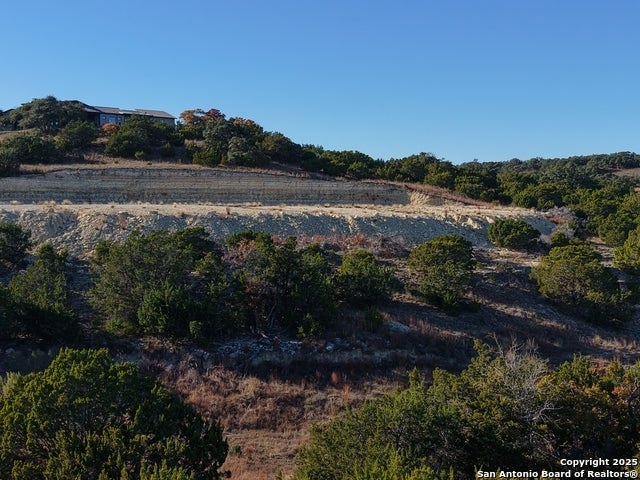 466 Majestic Oak, Blanco