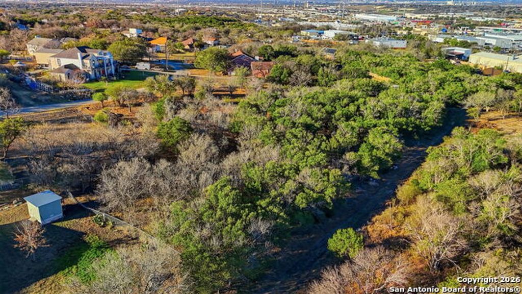 Wesp Way #3, Live Oak