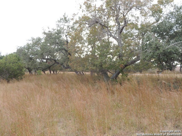 558 Mystic Breeze, Spring Branch TX Real Estate Listing - MLS® # 1938918