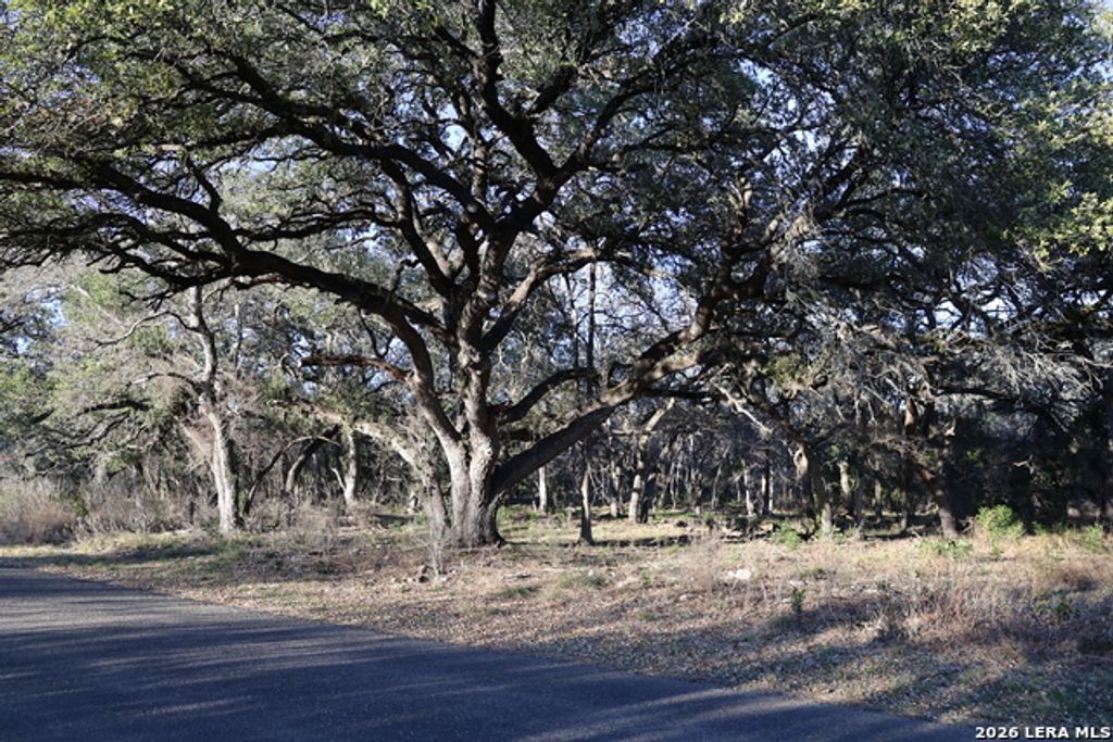 Tbd County Road 241, Hondo