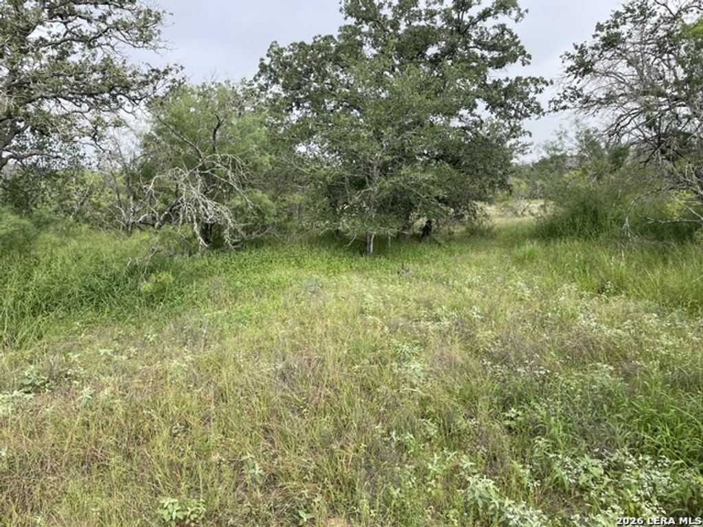 Tract#8 12.31a County Road 777, Devine