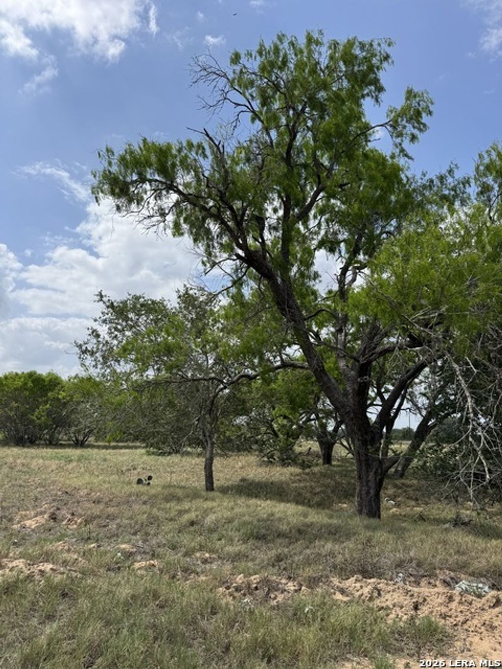 00 County Road 405, Floresville