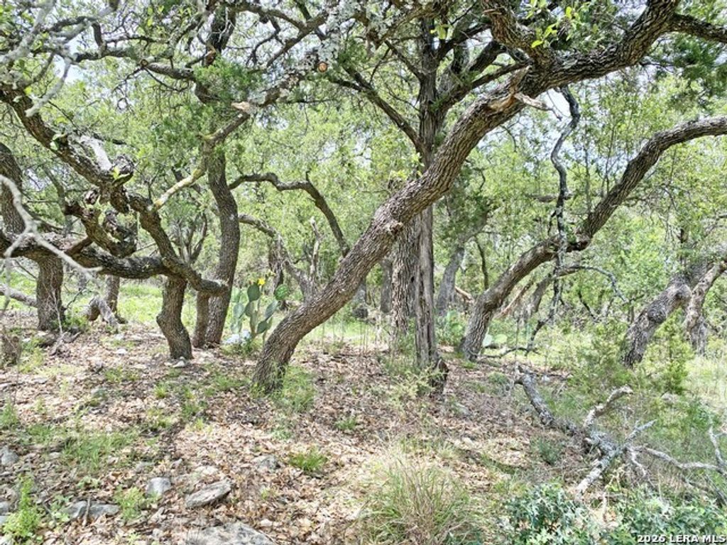 25726 Echo Mtn, San Antonio