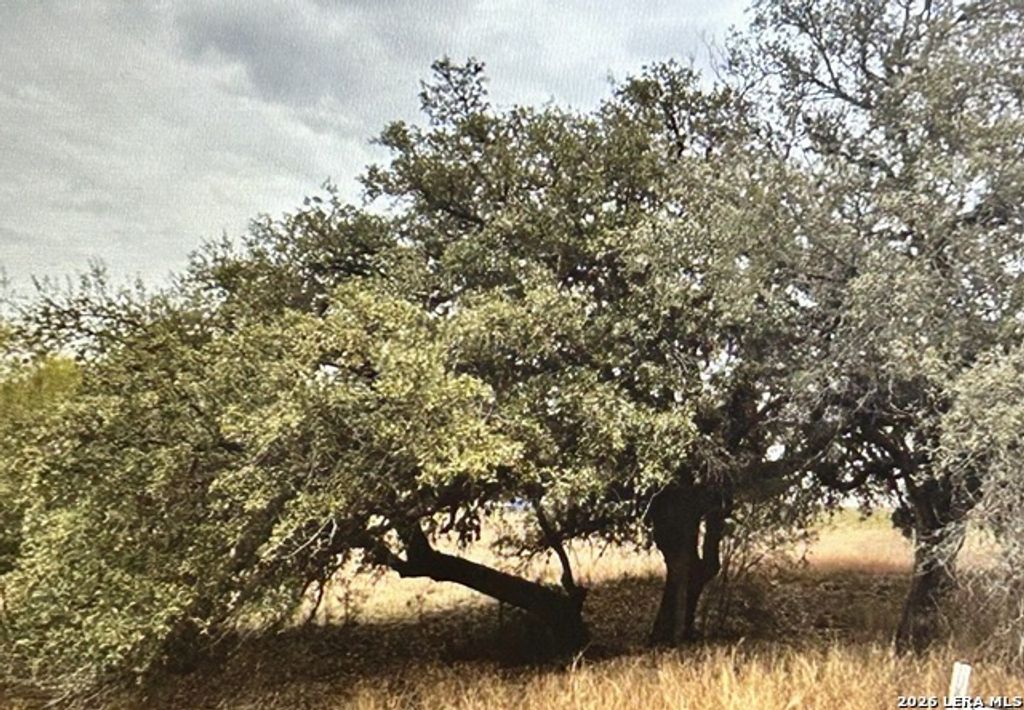 71 River Blf, Castroville