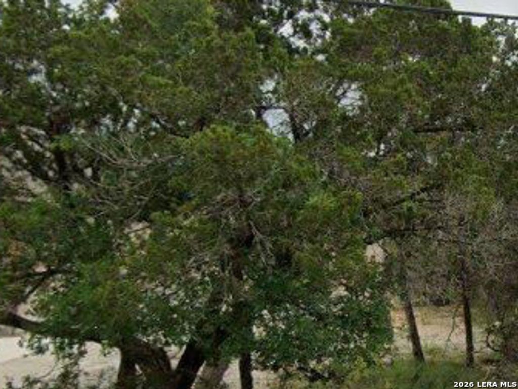 1075 Hedgestone, Canyon Lake