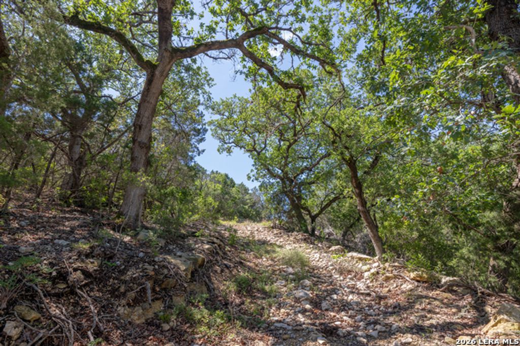625 County Road 2763, Mico