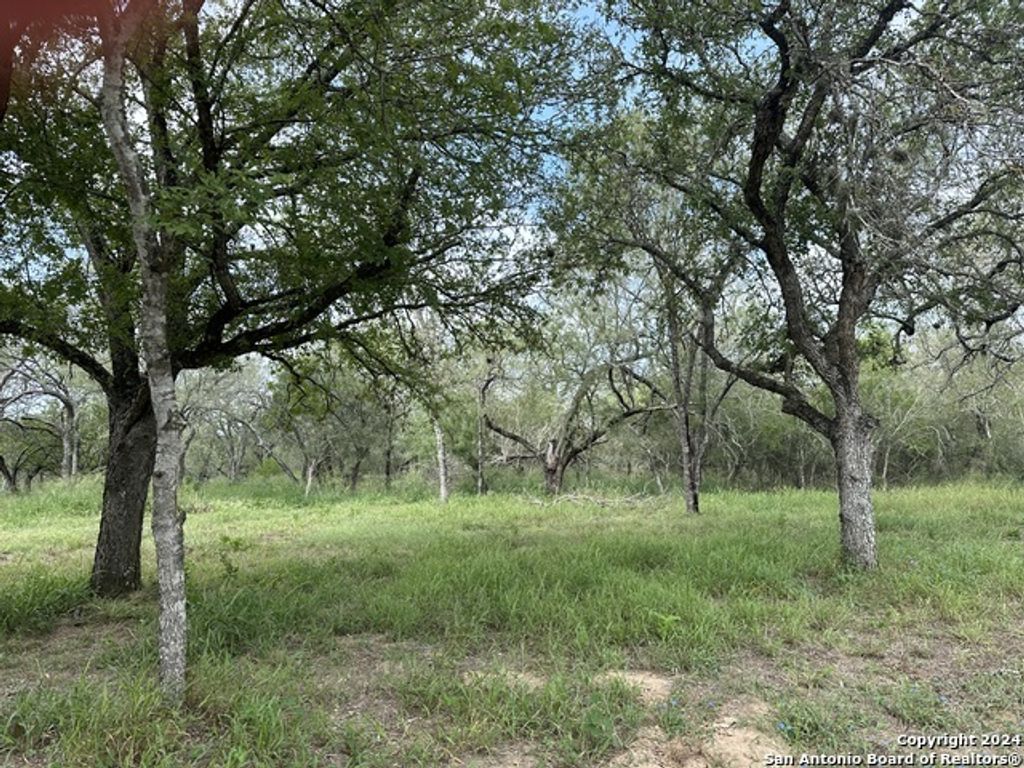 20588 S State Highway 16, Von Ormy