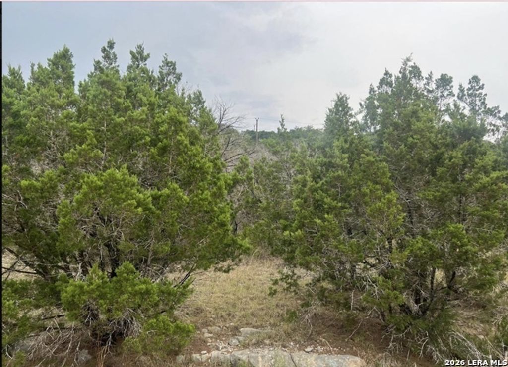 Tbd, Canyon Lake