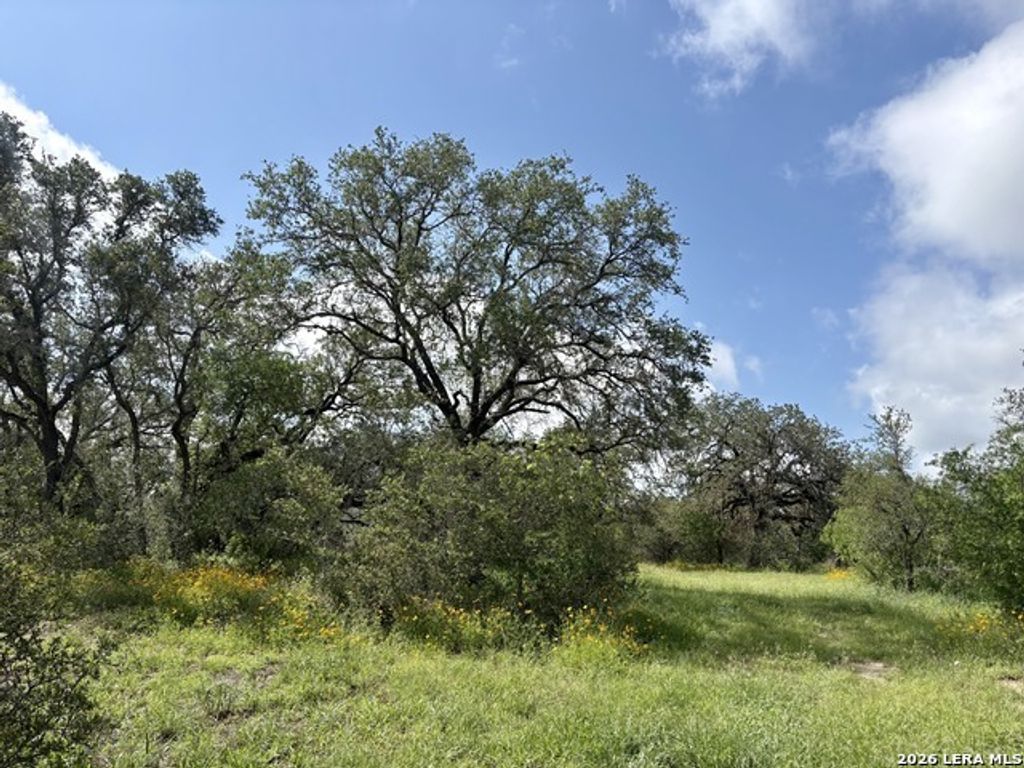 165 Sanctuary Ln, Von Ormy