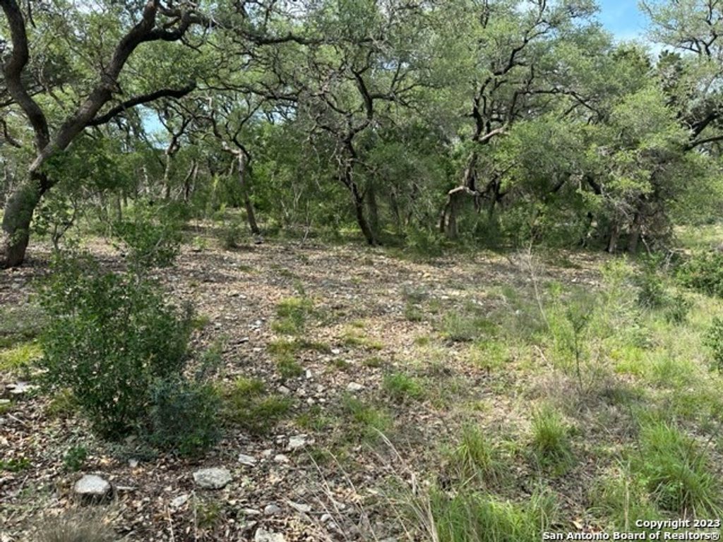 20330 Bobwhite Run, San Antonio