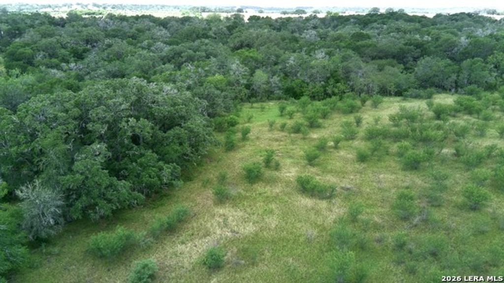 12250 Fm 3353 Tract B, Kingsbury