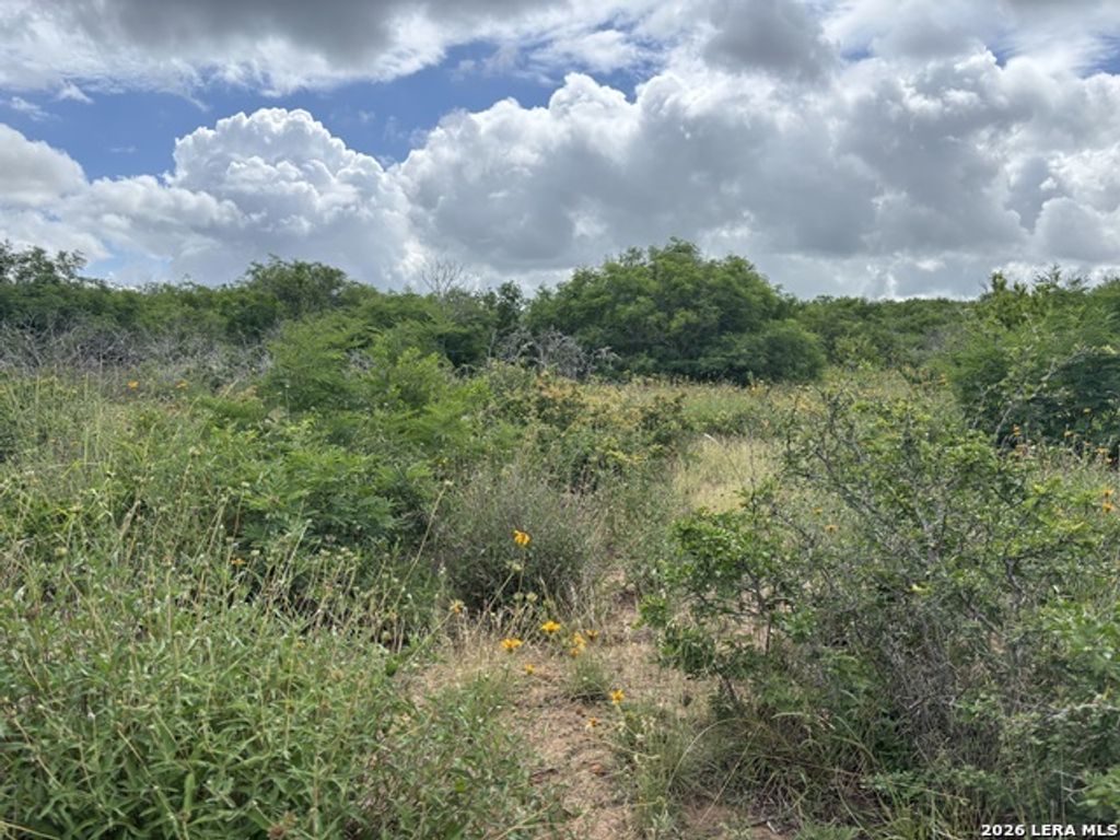 Cr 1515, Moore