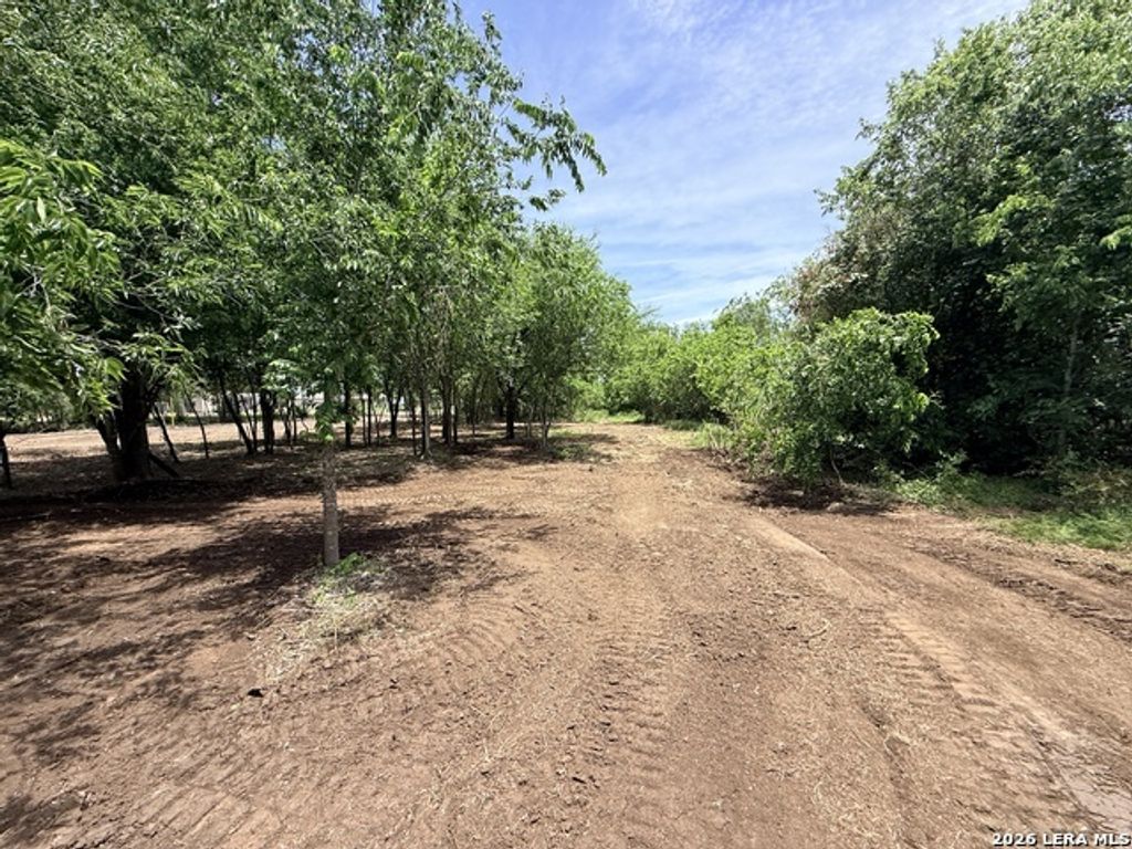 1 Acre Fm 471, Natalia
