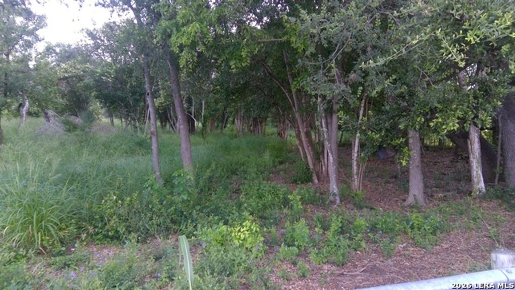 483 Oak Knoll Dr, San Antonio