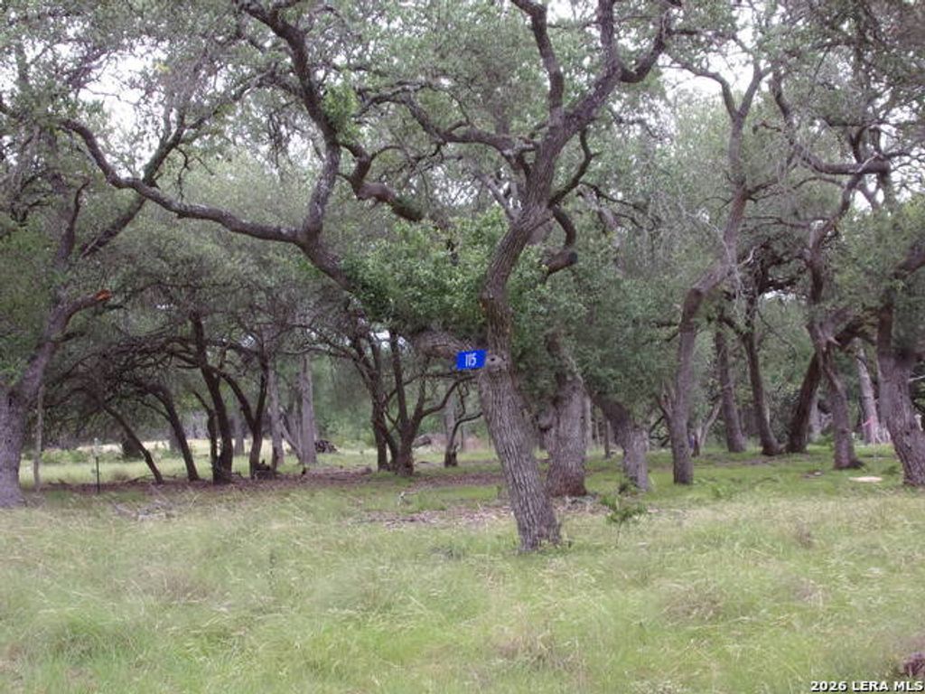 115 La Luna Dr, Blanco