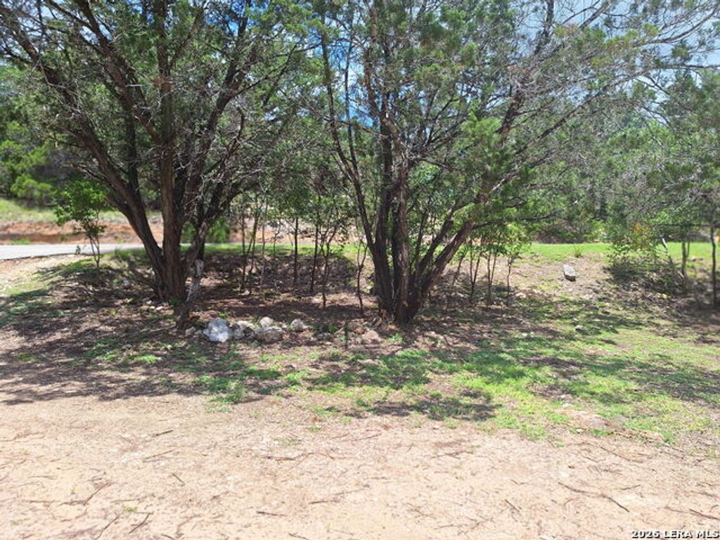 235 Sir Arthur Way, Canyon Lake