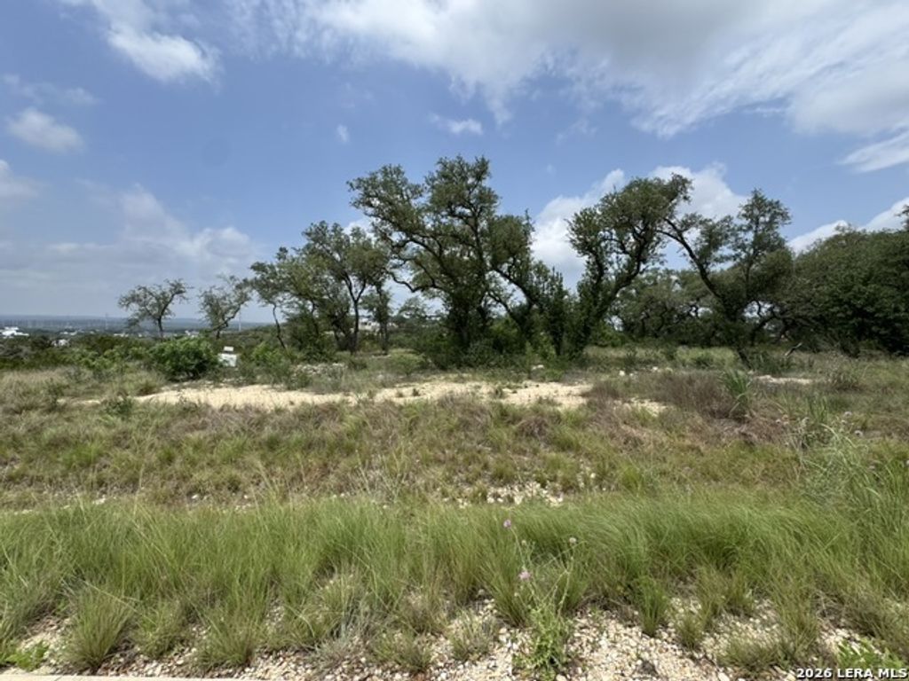 686 Butler Oaks, Bulverde