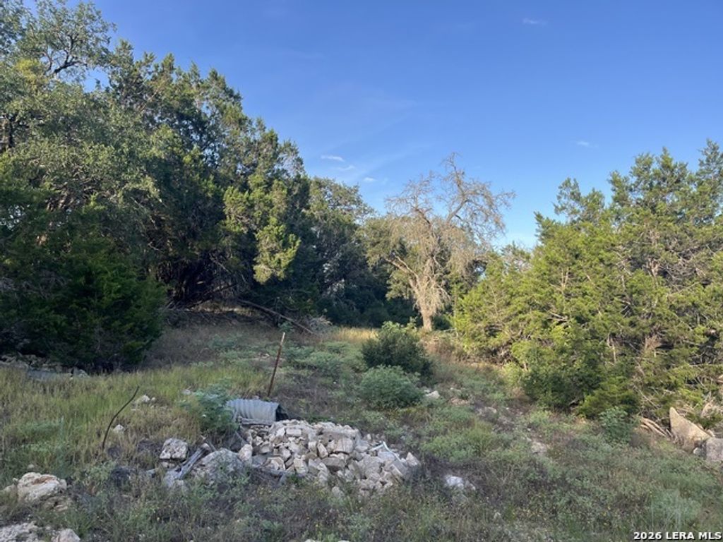 1615 Forest Lake, Spring Branch