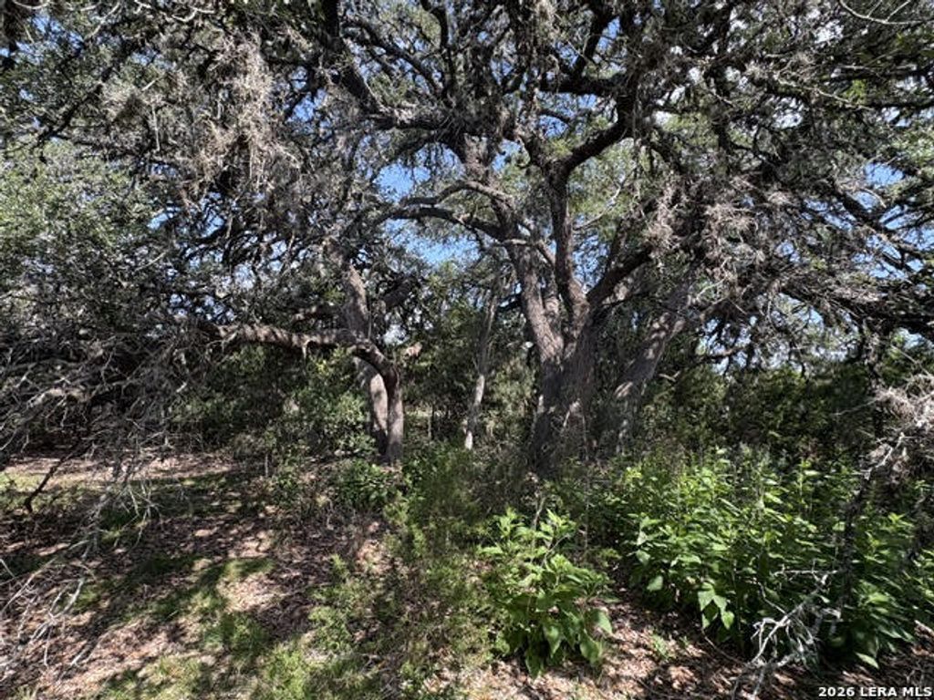 Lot 2025 Split Ridge, Spring Branch